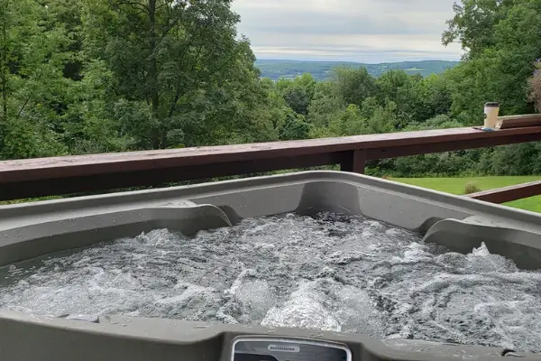 freeflow spas 3-person tristar hot tub
